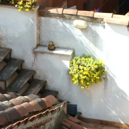 Contarini